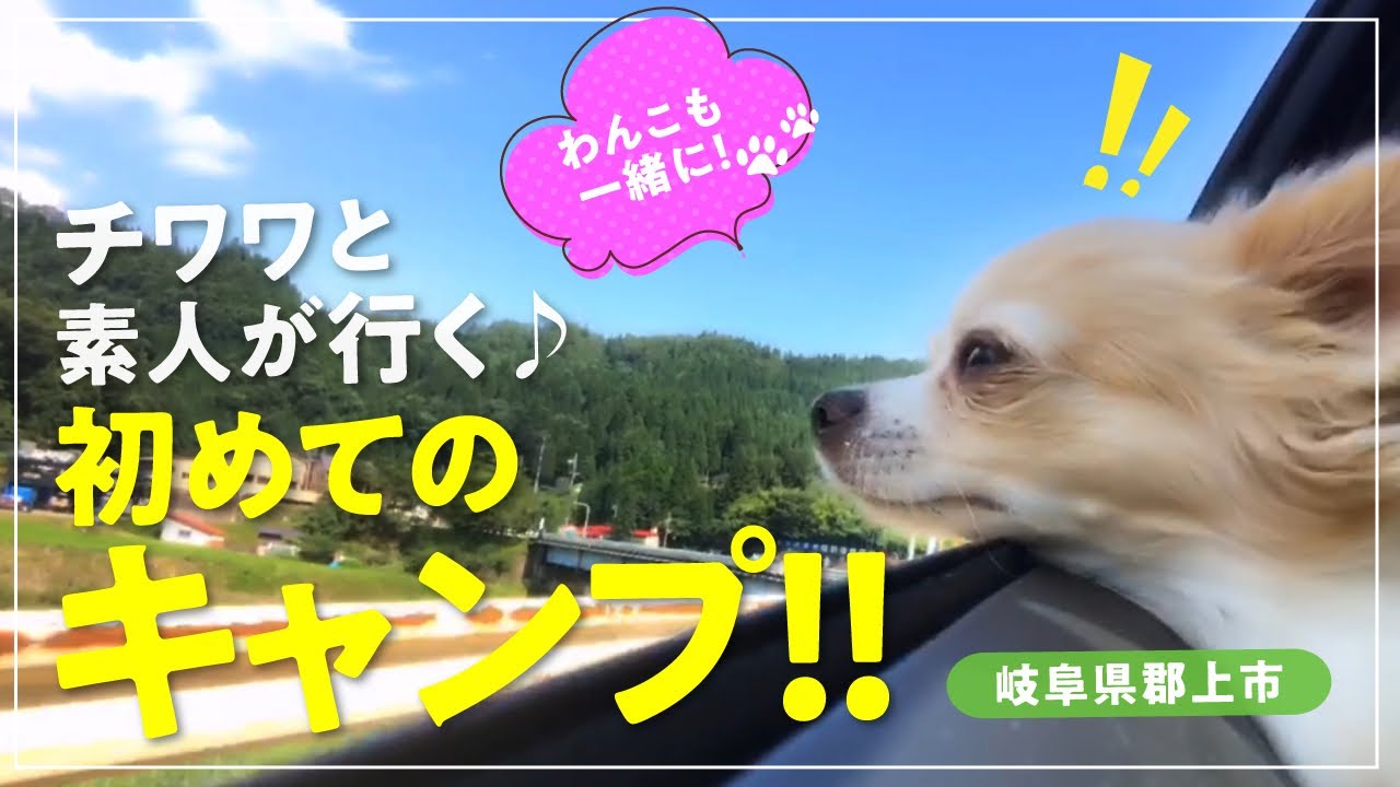 【犬とおでかけ】チワワと行く初めてのキャンプ!1日目★BBQやお馬さん満喫の旅(岐阜県郡上市)