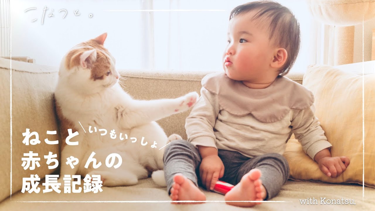 猫とずっと一緒に過ごした１歳児の１年間