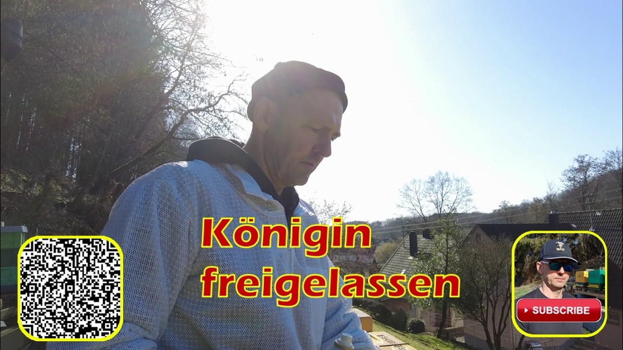 Königin freigelassen - Imker aus Abentheuer