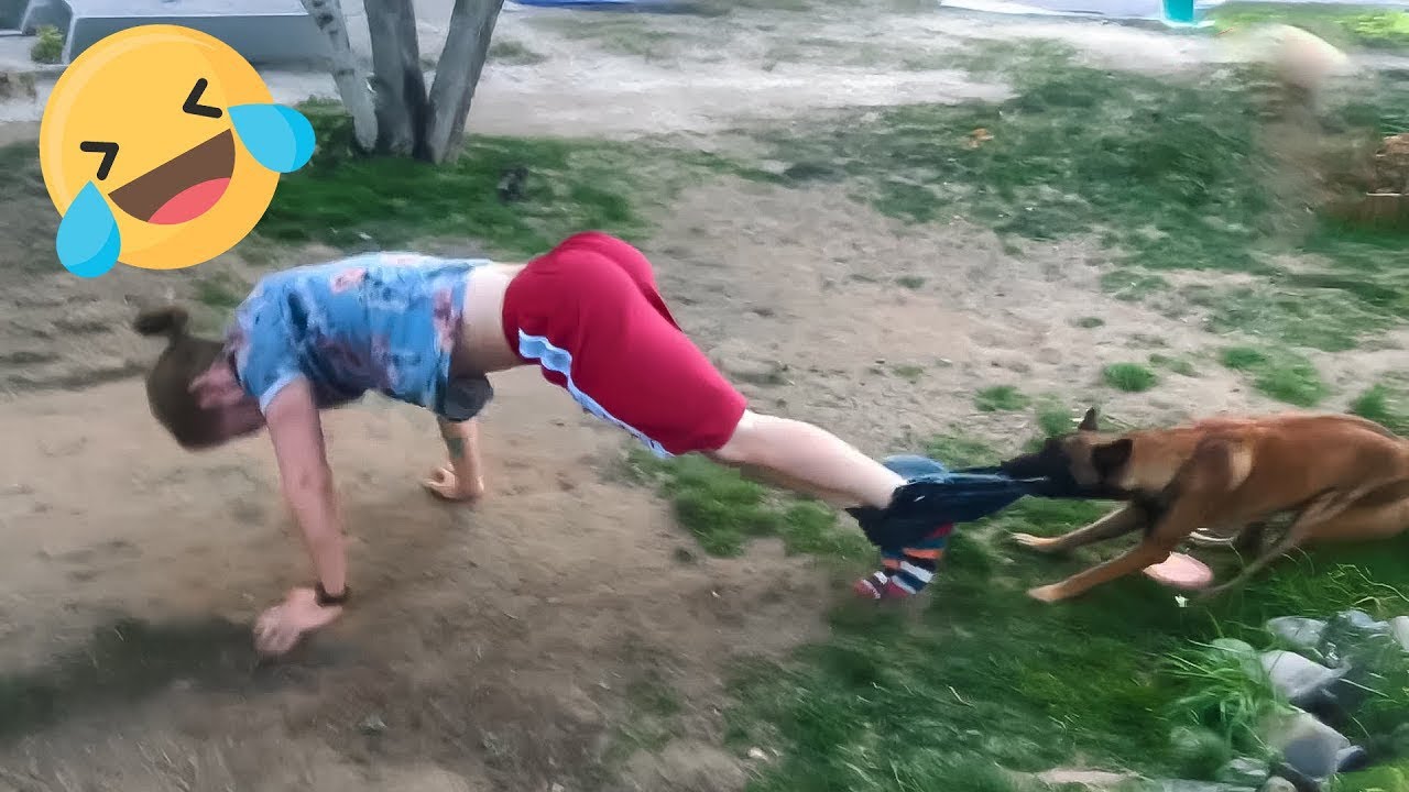 Instant Regret Fails Compilation 2026 | Funny & Hilarious People Life 😆 Best Fail Of The Week #19