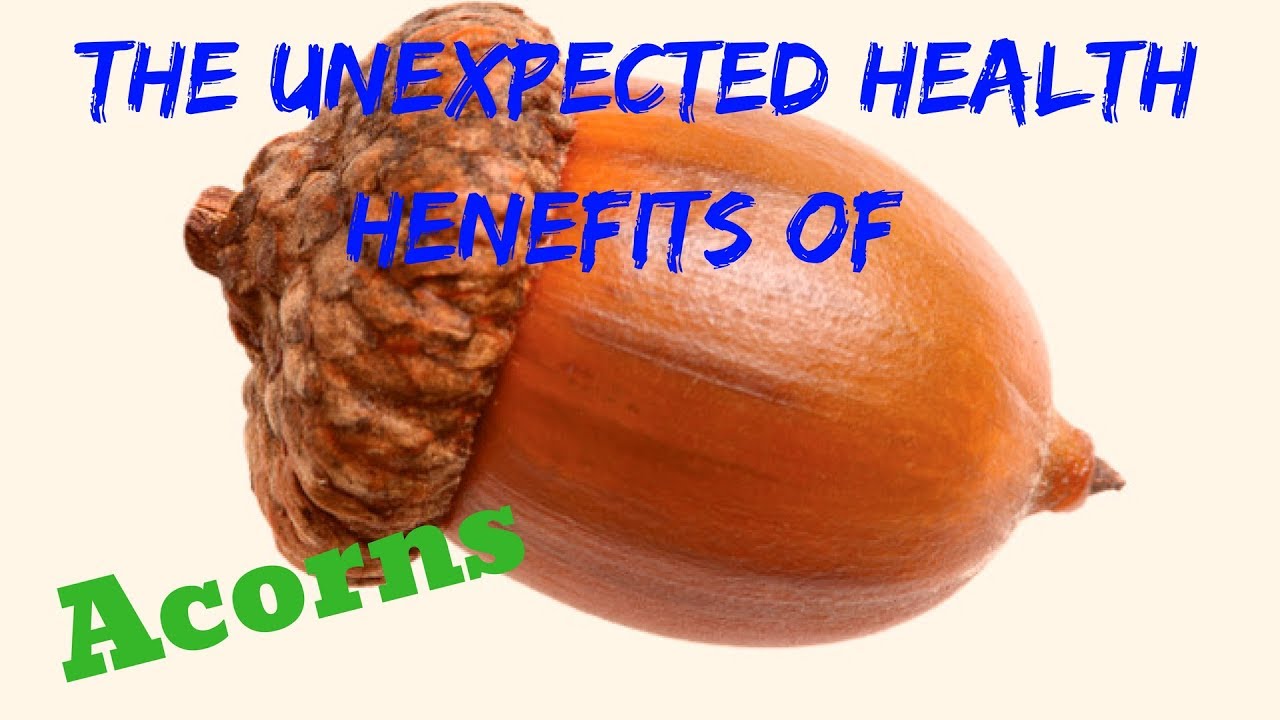 8 Amazing Benefits Of Acorns #NATUREForHealth