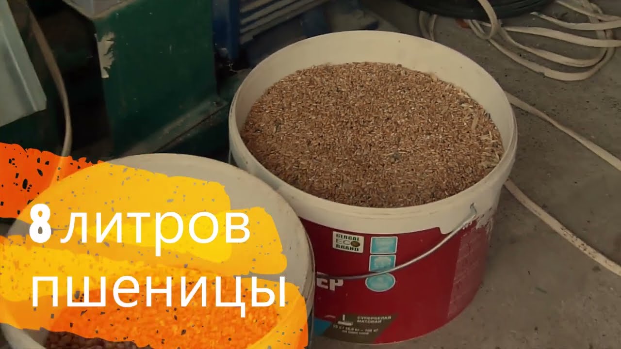 Гранула с зелёной травой для кроликов.