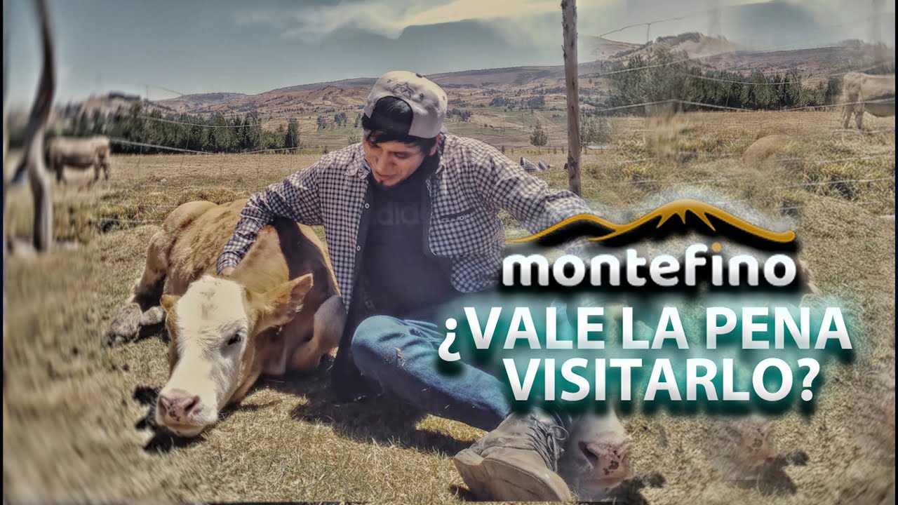 Una granja turistica que lo tiene todo MONTEFINO AYACUCHO