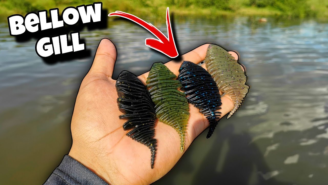 BELLOW GILL | Señuelo super efectivo | Lo usamos en este ARREGLO DE PESCA 