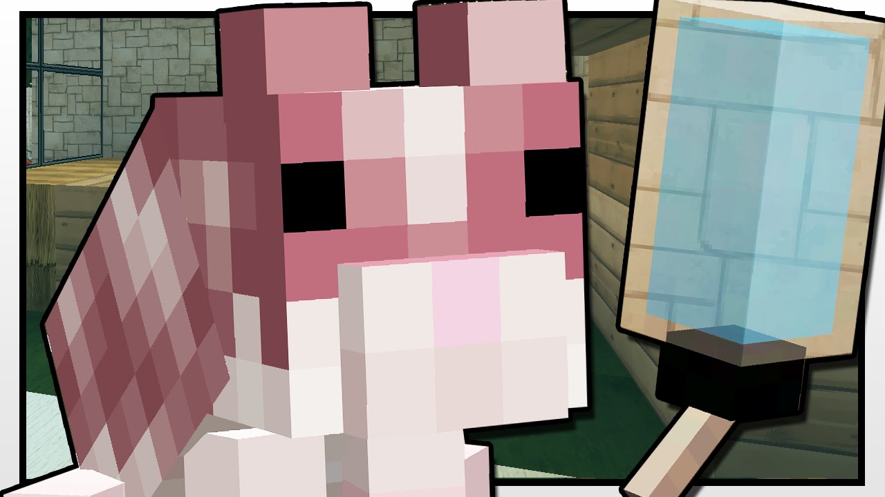 Minecraft High School | THE SCHOOL HAMSTER!! | Custom Mod Adventure