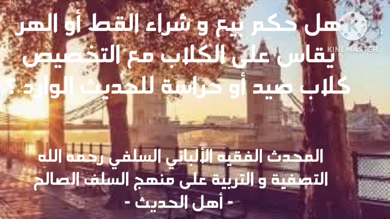 الإمام الألباني السلفي/ هل حكم النهي عن شراء وبيع القط يقاس على الكلاب مع تخصيص كلاب الصيد والحراسة؟