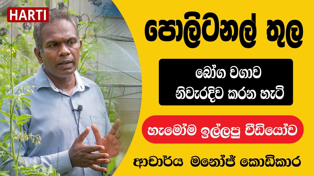 පොලිටනල් තුල බෝග වගාව නිවැරදිව කරන හැටි - ආචාර්ය මනෝජ් කොඩිකාර