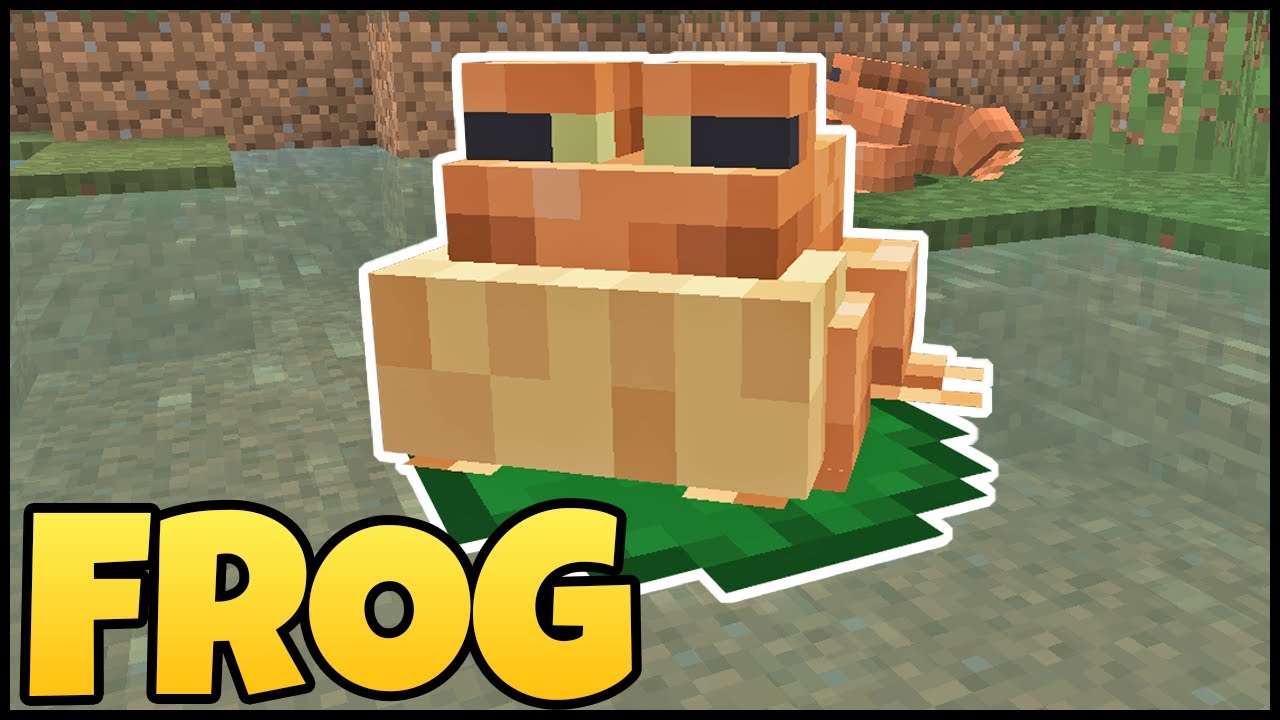 How To Get FROGS In MINECRAFT