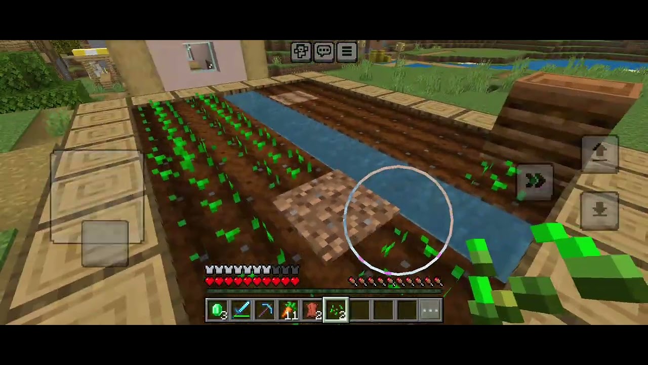 I got the best village ever!!