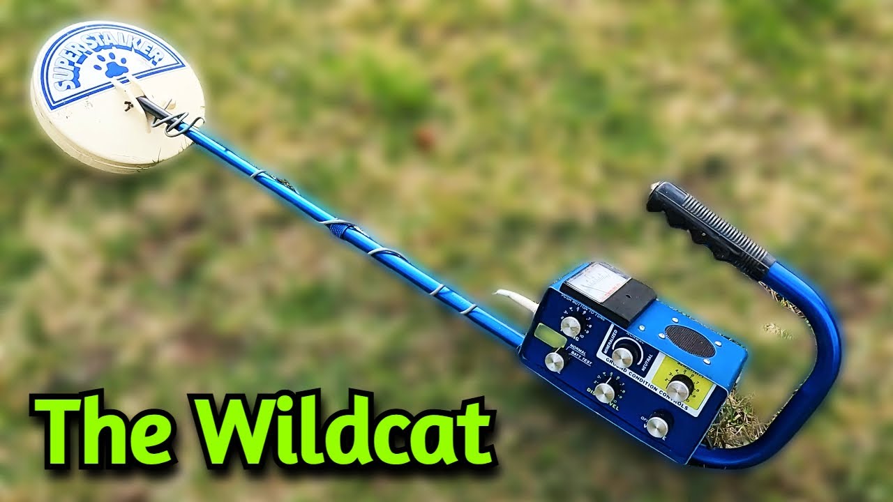 Metal Detecting with The C & G Wildcat