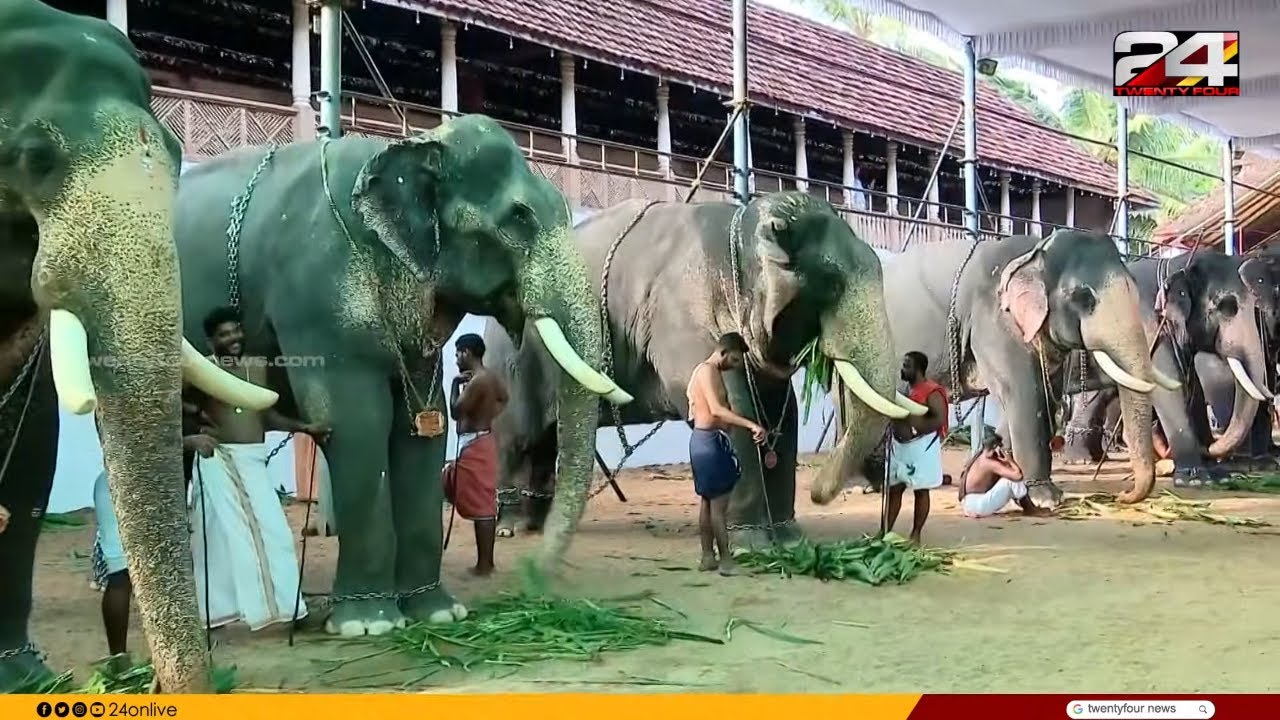 തൃപ്പൂണിത്തുറ ശ്രീപൂർണ്ണത്രയീശ ക്ഷേത്രത്തിൽ വൃശ്ചികോത്സവത്തിന് ആരംഭം |  Thrippunithura