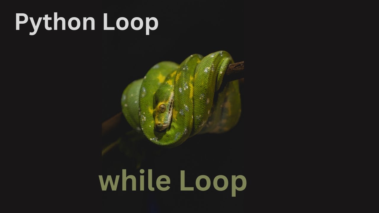 Python while Loop