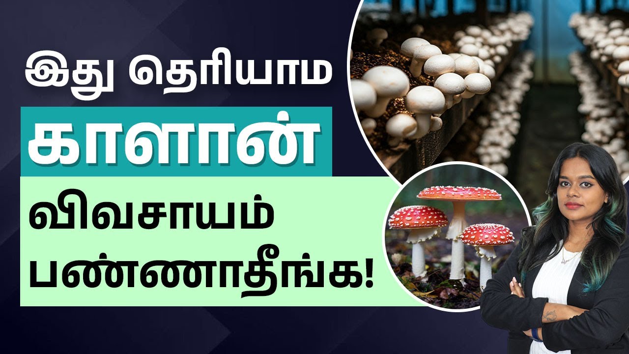 வீட்டிலேயே காளான் வளர்ப்பது எப்படி? | Mushroom Farming Ideas in Tamil