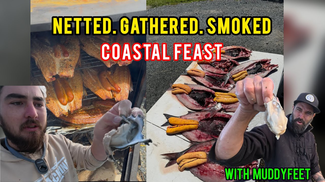 Big Haul, Big Feed: Mulleting, Oysters & a Mean Backyard Smoke-Up! (Catch n cook)
