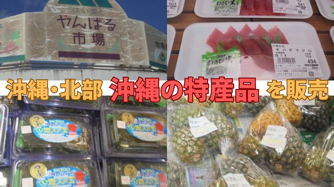 【2025年度・沖縄旅行・沖縄本島北部】名護市の「はいさいやんばる市場」には、やんばるの島野菜やフルーツ、沖縄の特産品を販売しております。沖縄観光・沖縄本島北部・沖縄食材・Okinawa