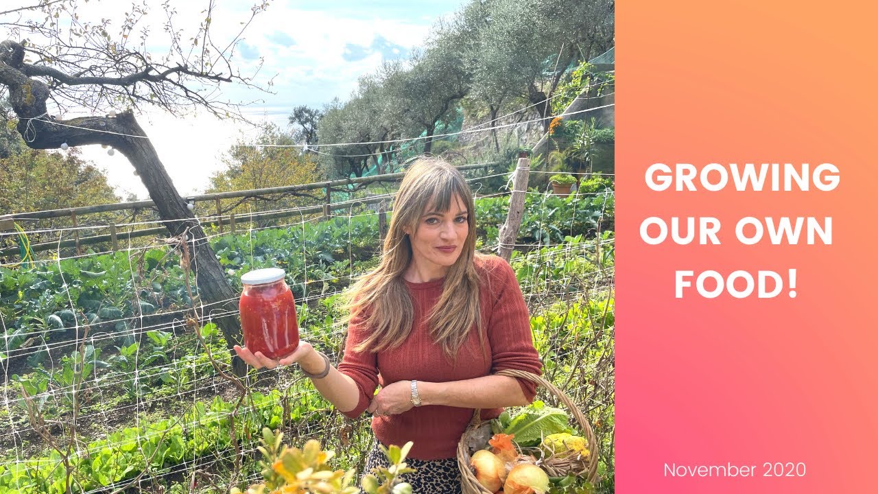 TOUR OF OUR ITALIAN WINTER GARDEN | The Positano Diaries EP 68