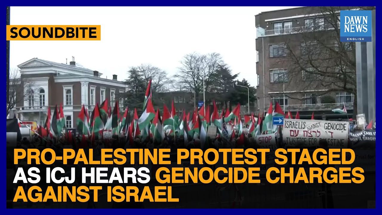 Pro-Palestine Protest In The Hague Stags With ICJ  Genocide Case Against Israel | Dawn News English