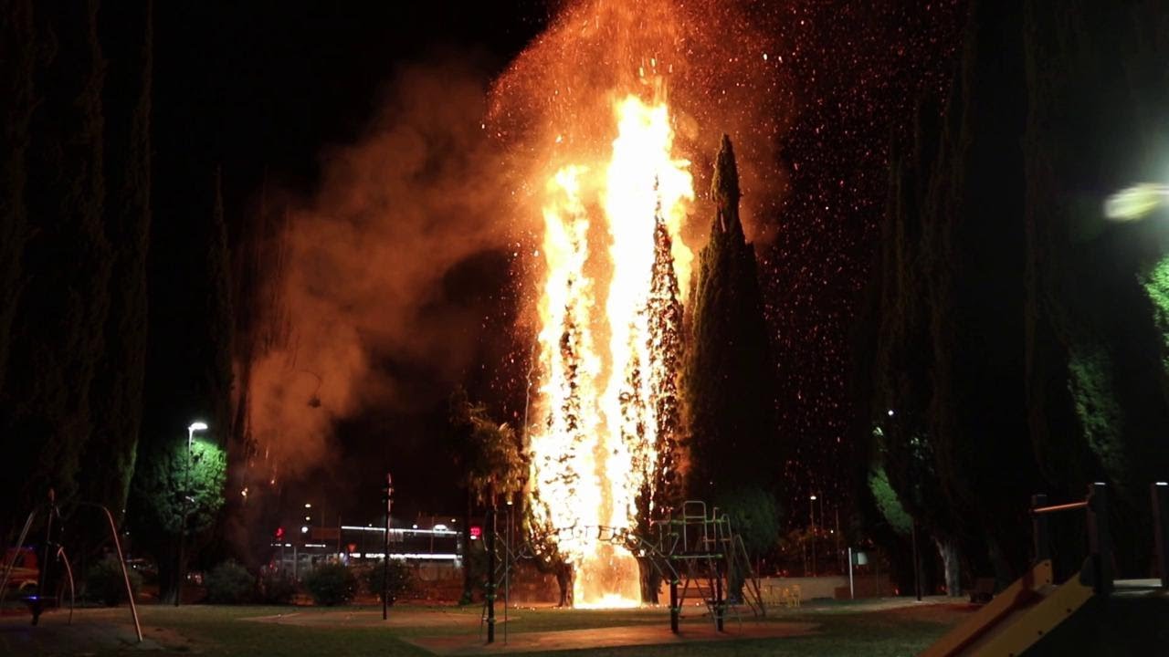 Incendio nel parco della Rimembranza a Monfalcone, il videoracconto