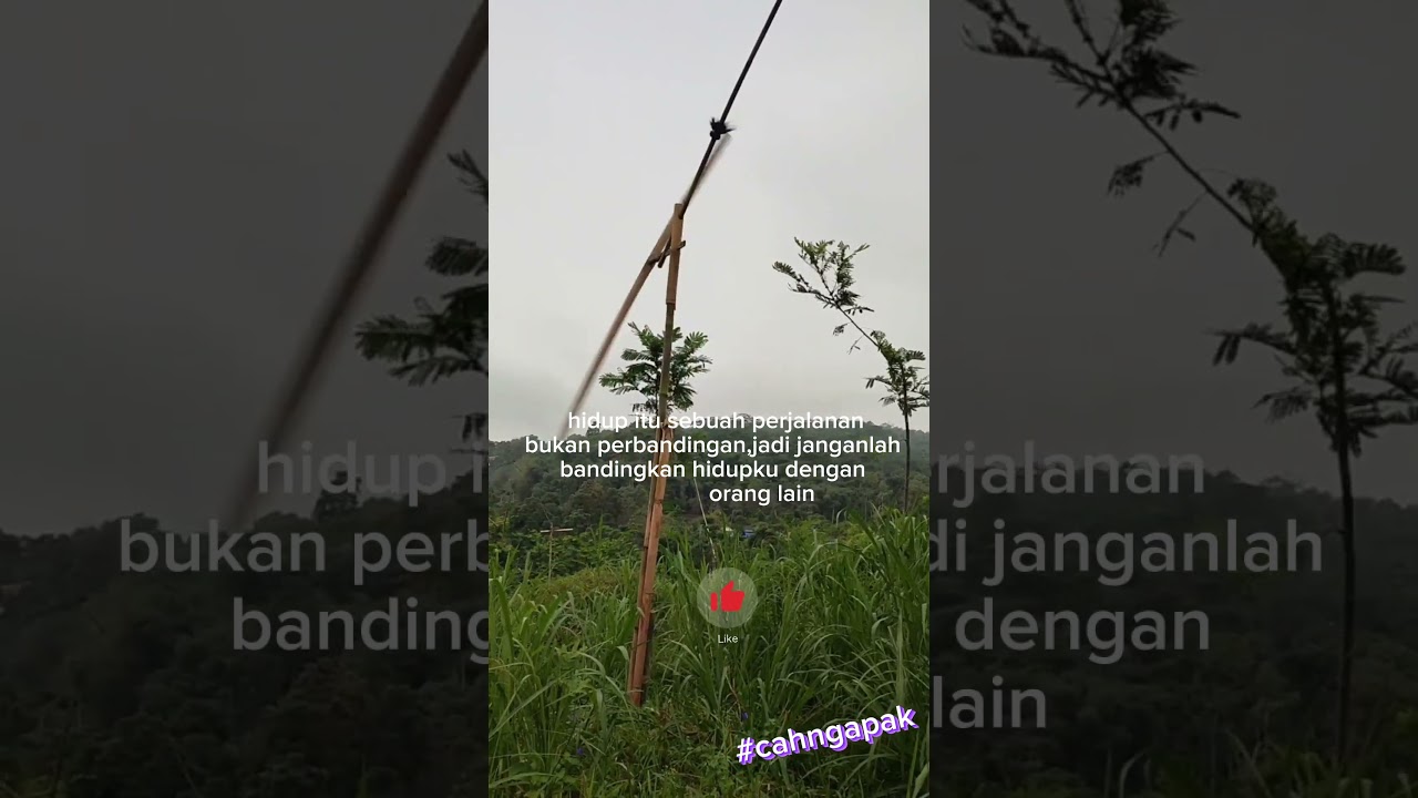 kitiran
