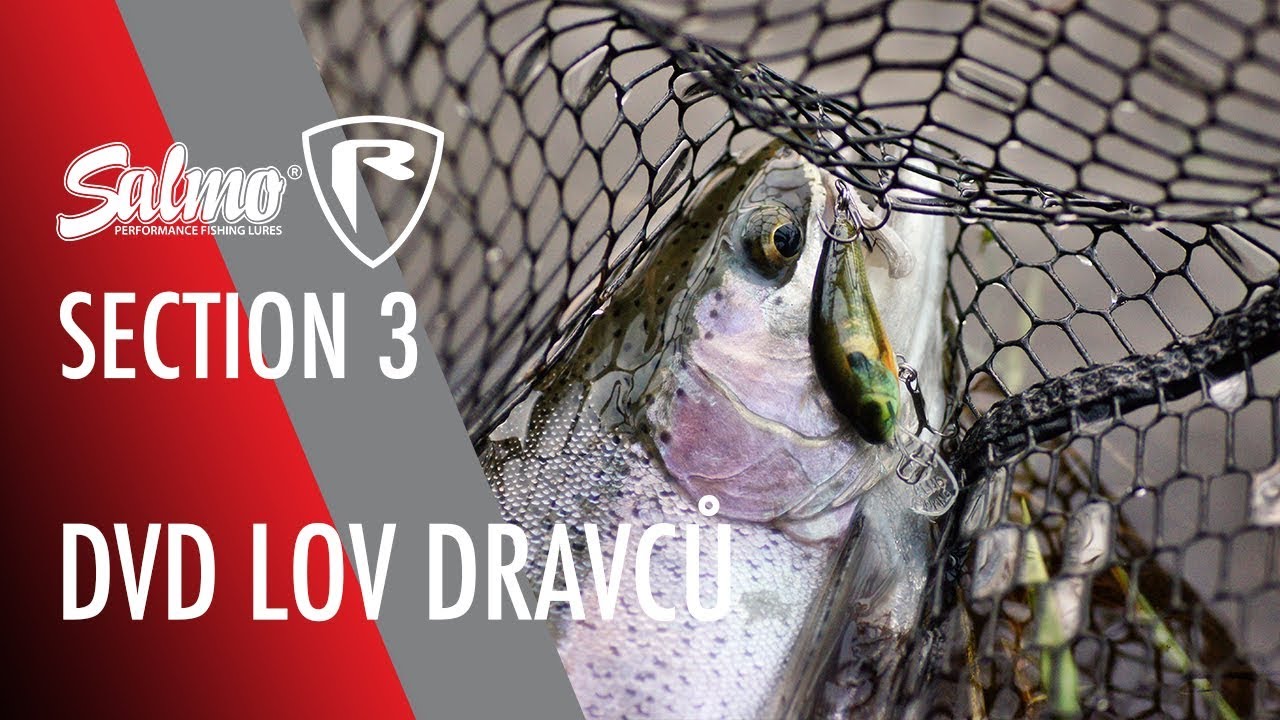 DVD Lov dravců Section - Lov pstruhů na řece
