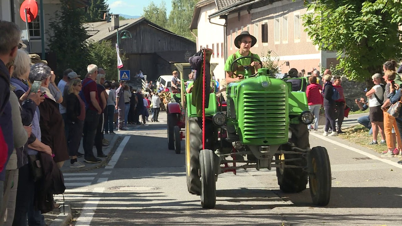 Almabtrieb Toblach 2019