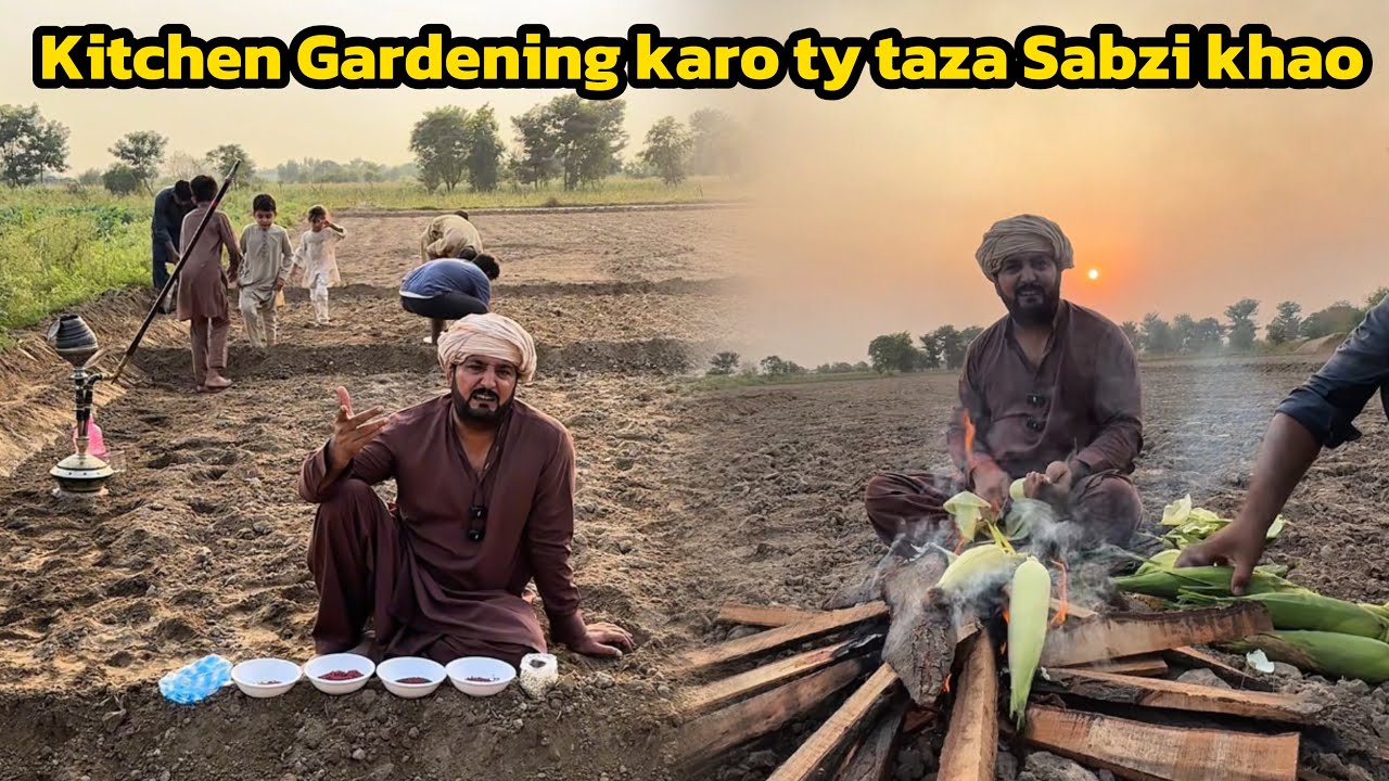Kitchen gardening karo ty taza Sabzi khao | Challi pun k khaan da sawaad ​​| Anjum Saroya