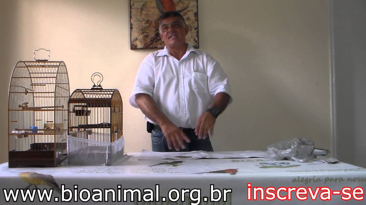 como higienizar sua semente para seu pássaro