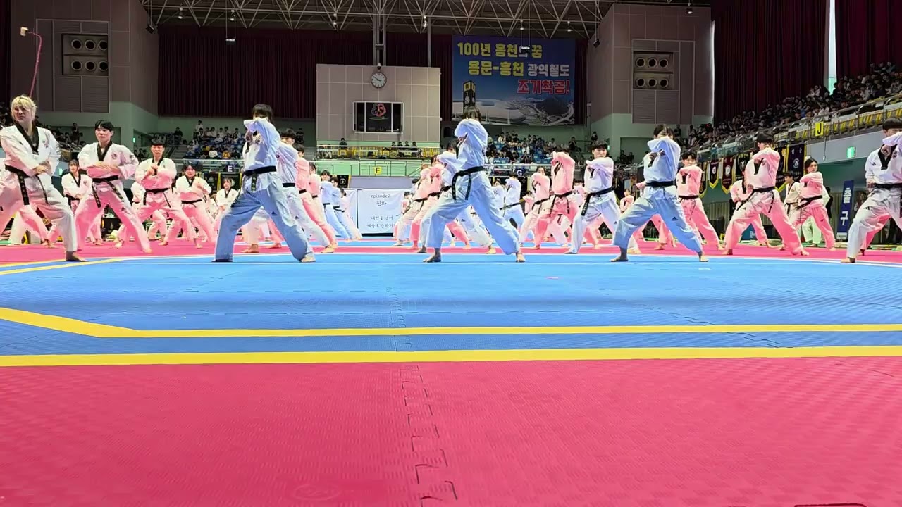 제37회 경희대 총장기 태권도 대회 개회식 시범 20250625