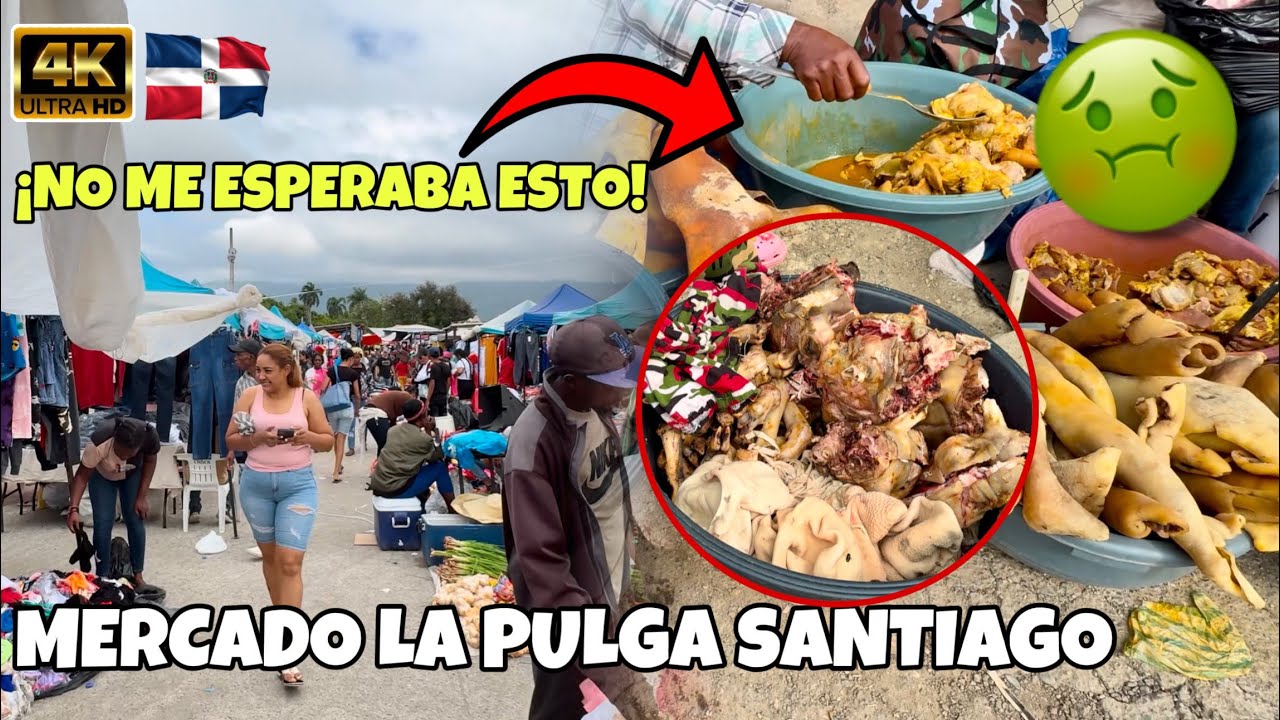 VISITANDO 😬🤢 el Mercado MÁS CAÓTICO de SANTIAGO RD🇩🇴; Mercado La Pulga #republicadominicana