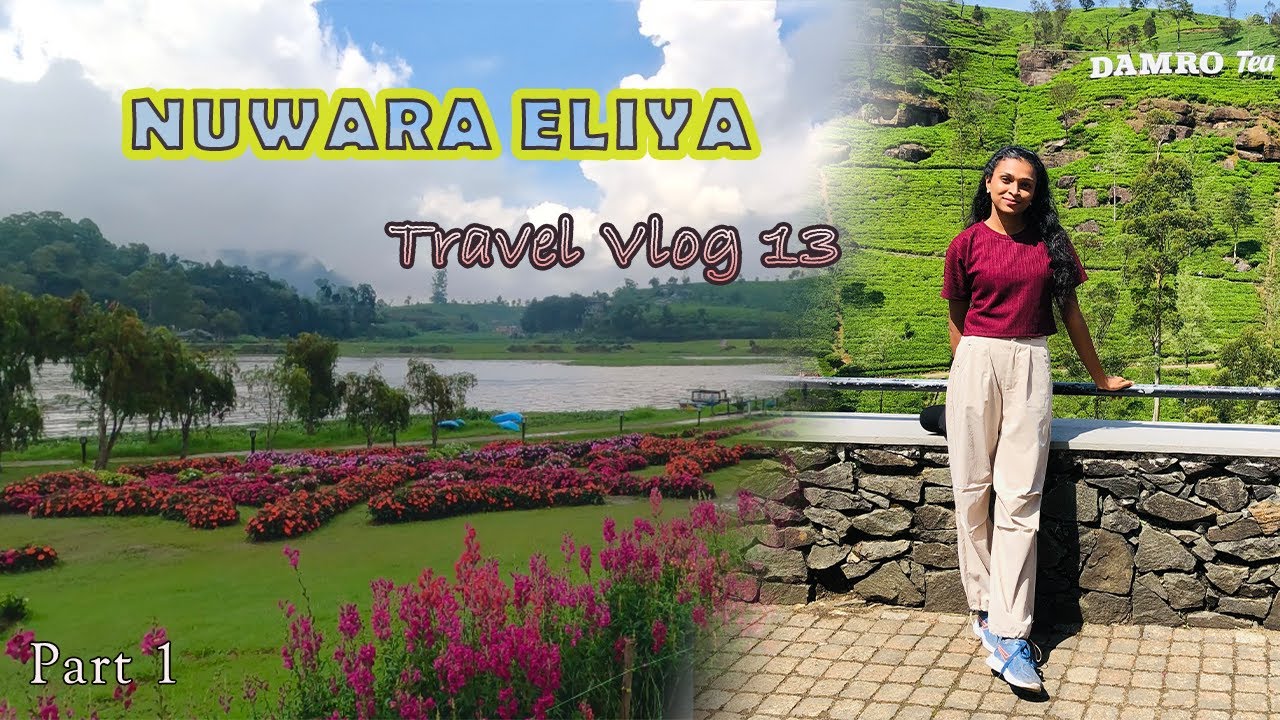 Nuwara Eliya | Part 1 | Bea Travellers | Travel Vlog #13 #trending #travel #srilanka #nature