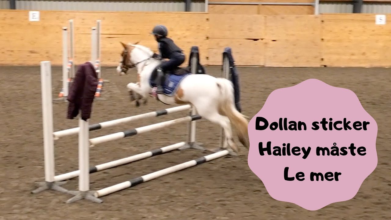 Lång stallvlogg - Dolly sticker på hoppträningen och Hailey måste le mer!