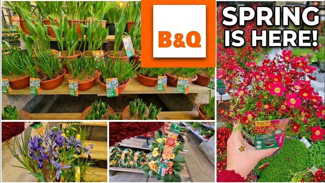 B&Q Garden New Plants 2026 🌸 Shop With Me | Amazing UK Garden Bargains!