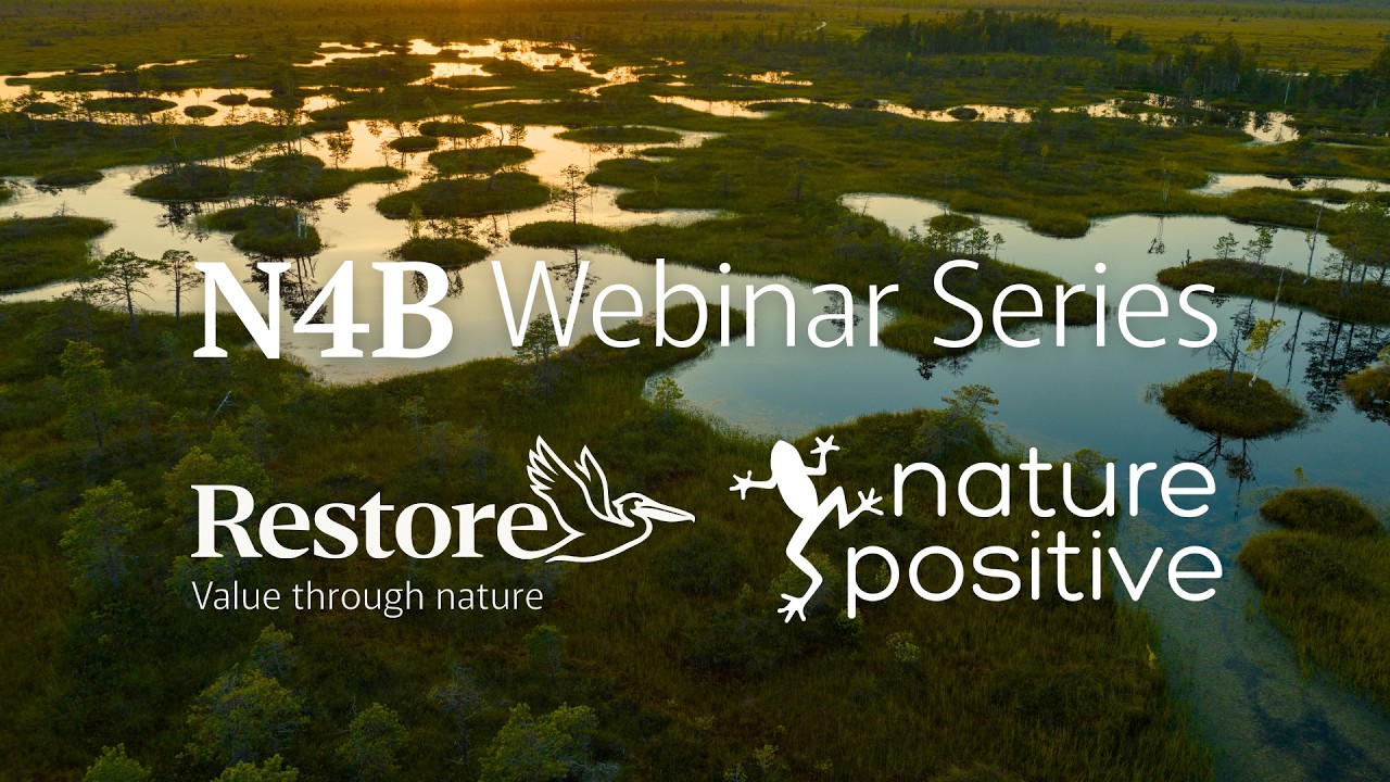 N4B | Getting Nature on the Agenda: Making the Business Case That Sticks