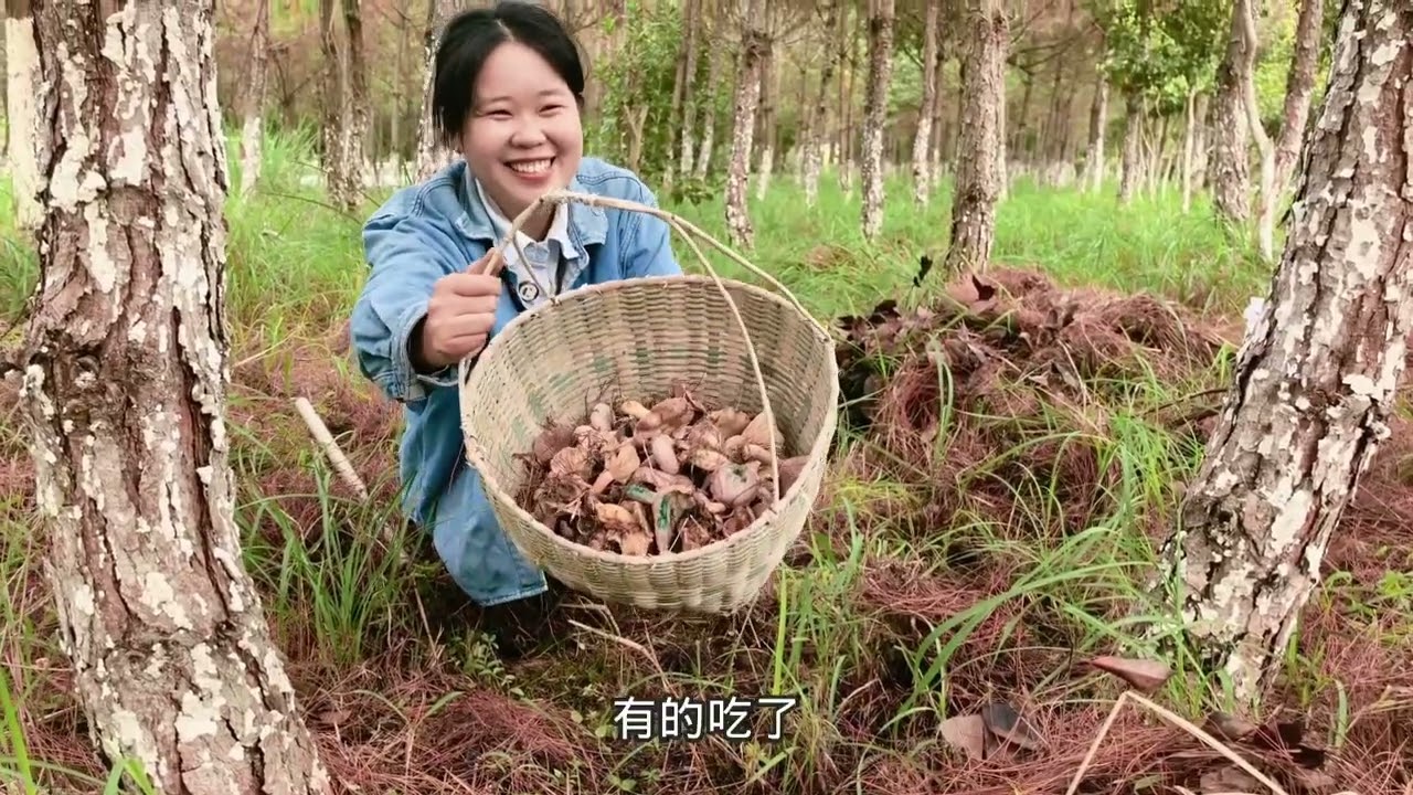 跟着姑姑到秘密基地捡松菇，扒开松针一窝又一窝，捡过瘾了，开心