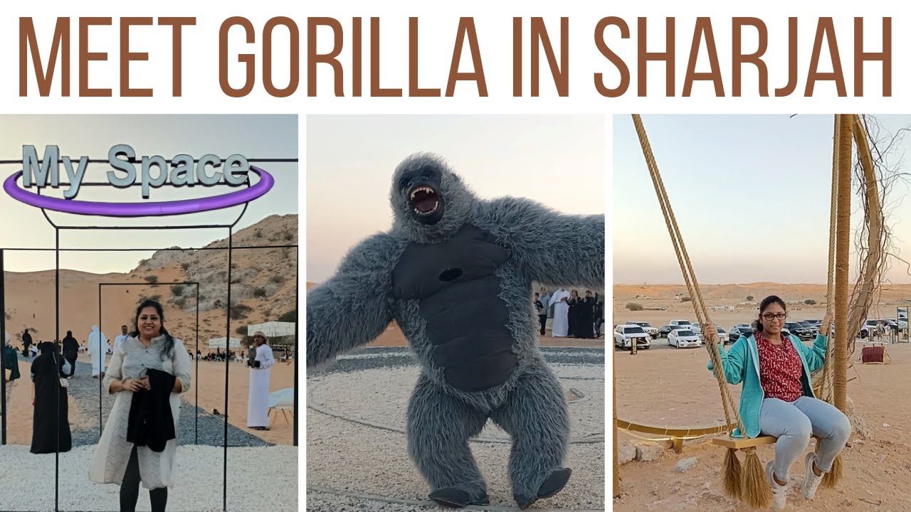 Gorilla in Sharjah l Viral Gorilla l My Space Cafe l Desert pop up winter Cafe