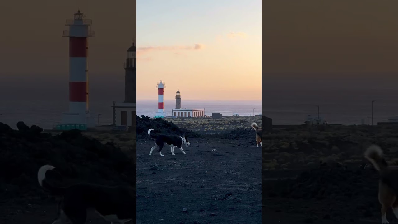 Vanlife on La Palma, Canary Islands #lapalma #canaryislands #vanlifespain