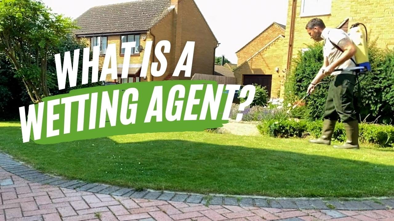 What Are The Benefits Of A Wetting Agent On A Lawn?
