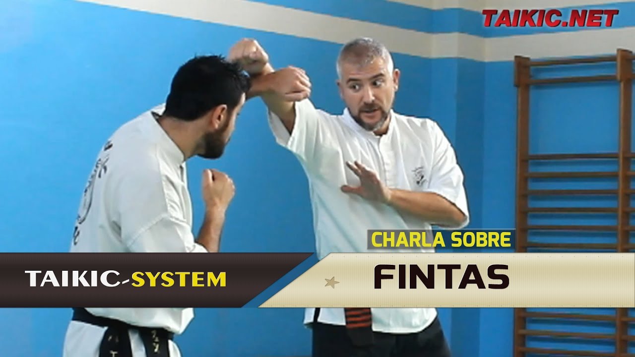 Las Bases del Combate - Las FINTAS - por Yee Seil