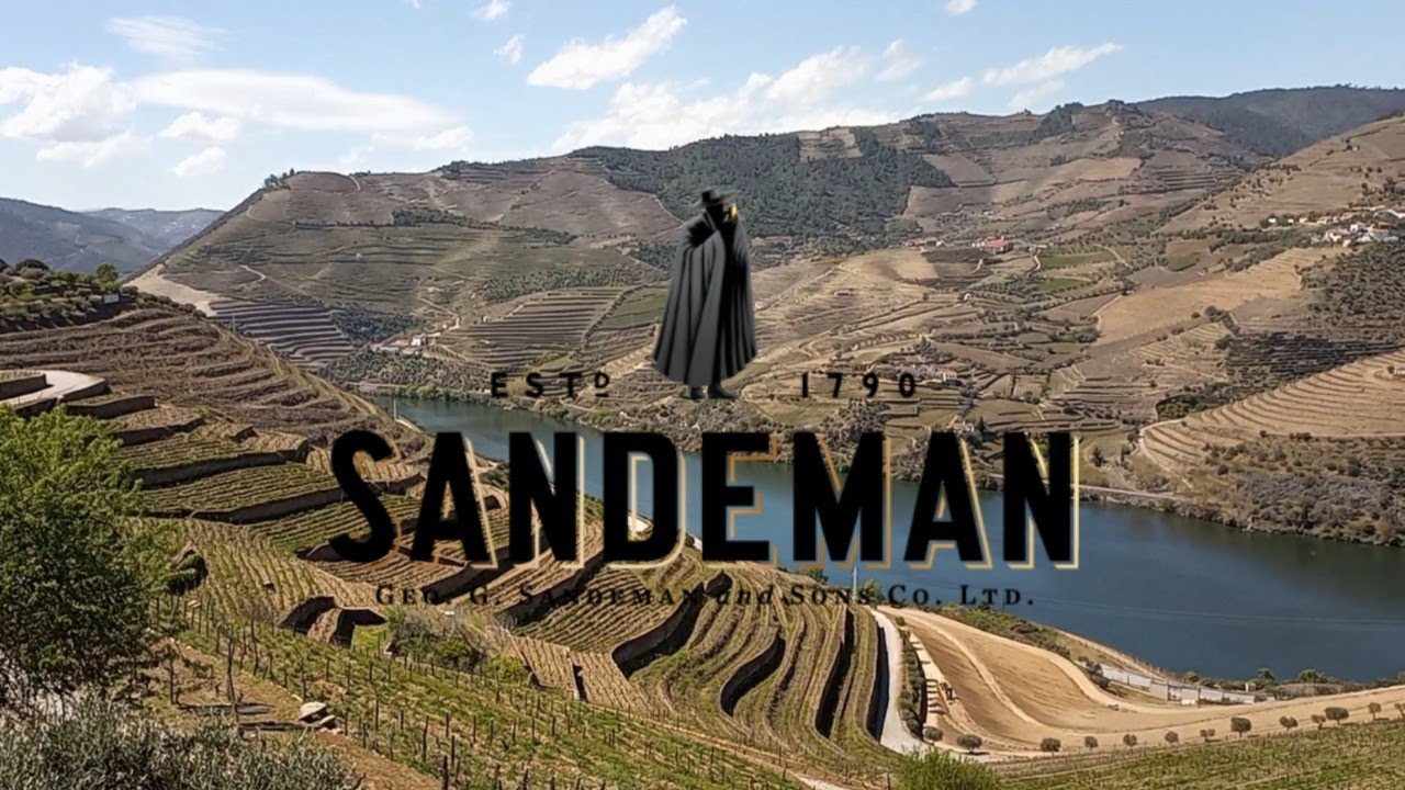 Quinta do Seixo VINHO SANDEMAN 🍷