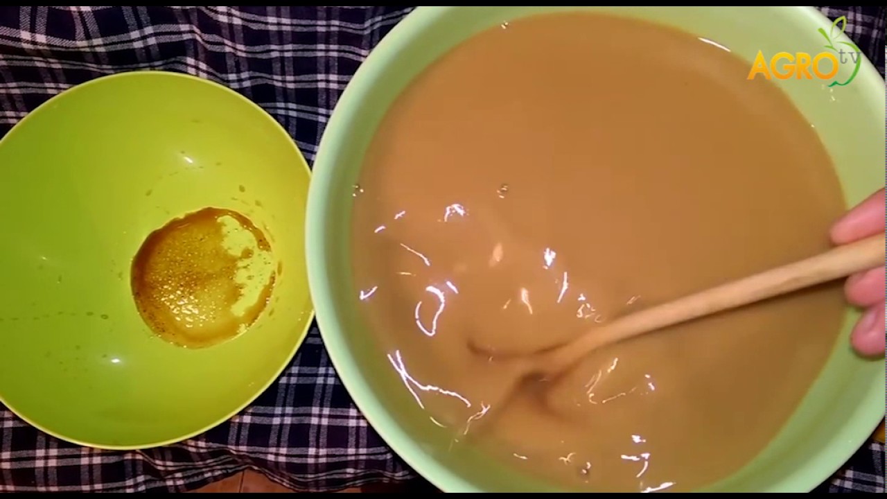 БОЗАТА - ОТ ДРЕВНОСТТА ДО ДНЕС