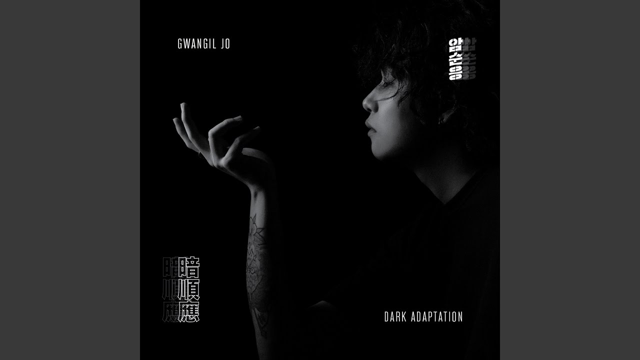 Dark Adaptation (암순응)