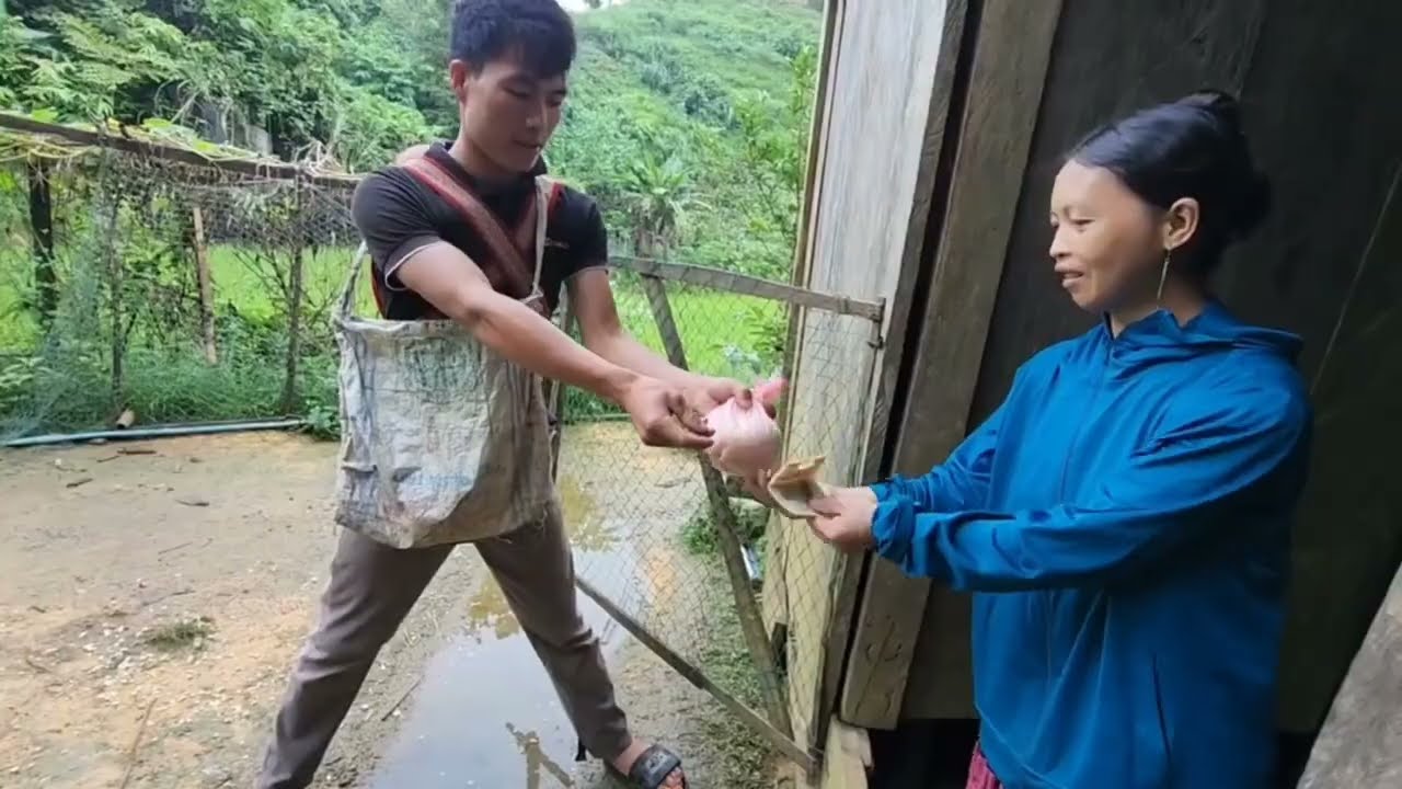 Full video đầy đủ hai bố con đi mua gạo