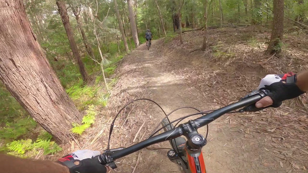 Development trail Awaba mountain bike park