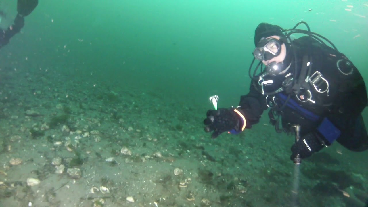 Redondo Beach SCUBA Dive