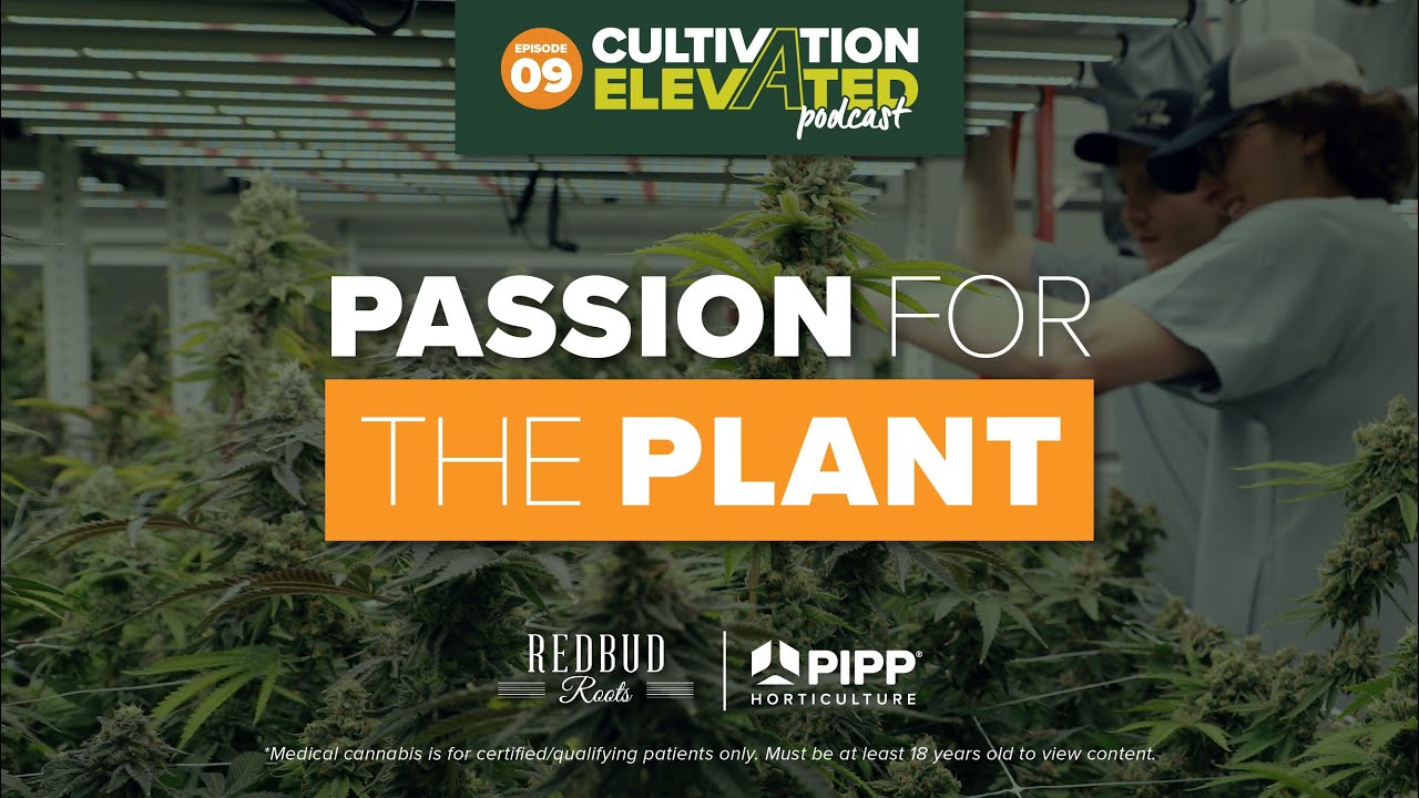 Redbud Roots - Passion For the Plant