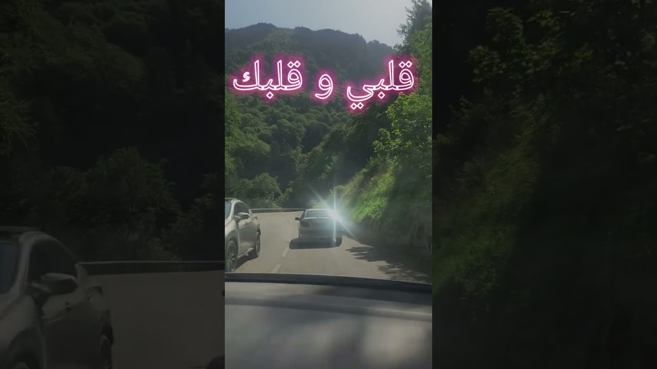 قلبي و قلبك - تازرا  (اغنية حصرية 2025) |   Qalbi w Qalbek - TAZRA MUSIC AI
