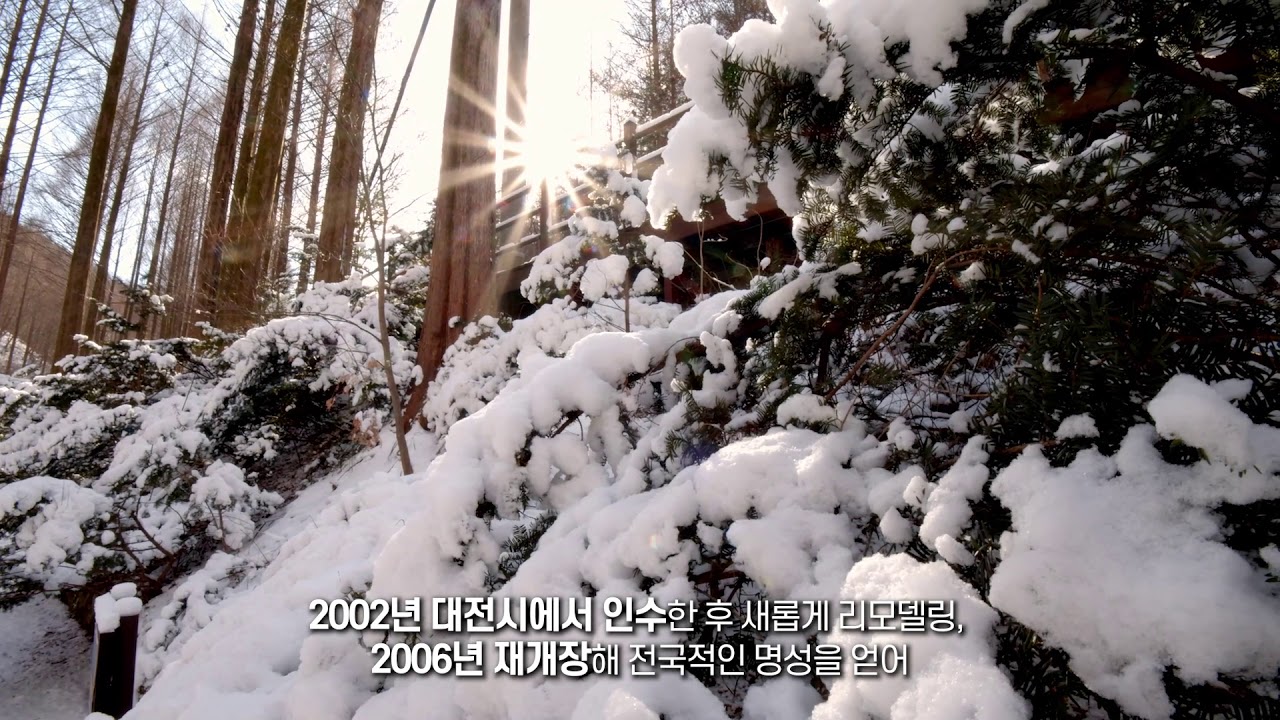 겨울에 만나는 장태산