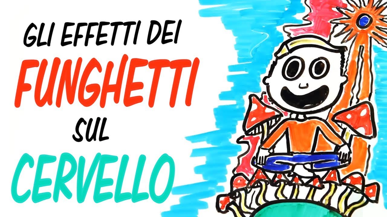 Gli effetti dei FUNGHETTI sul CERVELLO