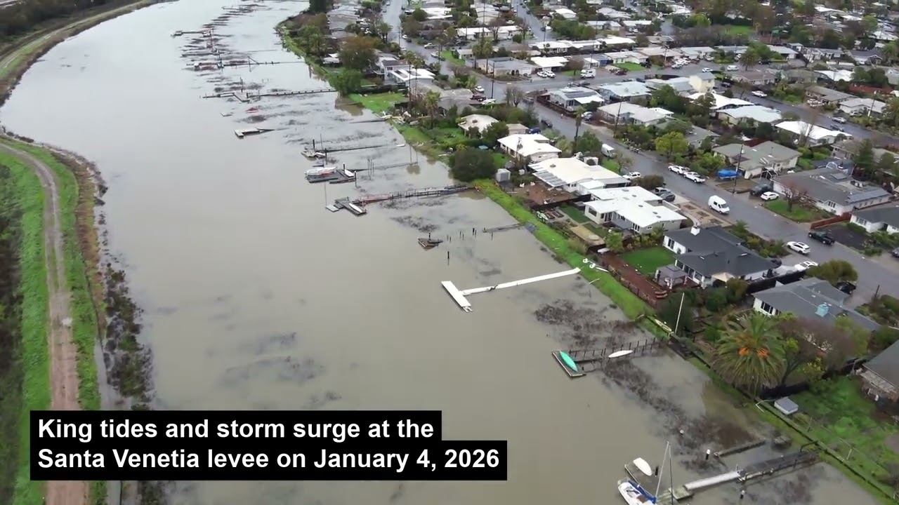 King Tide and storm surge at Santa Venetia levee on January 4, 2026