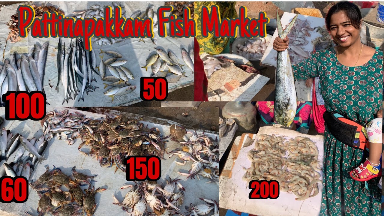Pattinapakkam Fish Market |From 60rs | crab and prawn for 200rs |#viralvideo #trending #fishing